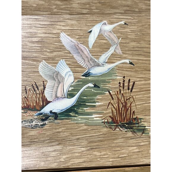 Vintage 50s Set of 8 Coronet Haskelite Wooden Lap Buffet Trays Geese Swans - Picture 6 of 7